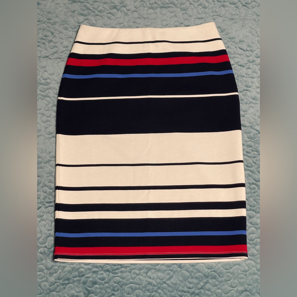 NWT Adrianna Papell Skirt Size S Straight Multicolor Striped Lined